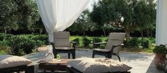 The court of the olive trees - 1