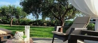 The court of the olive trees - 1