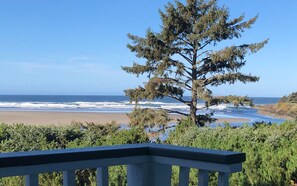 Property grounds - Hidden Luxury Beachfront Estate - Yachats, OR (Yachats)