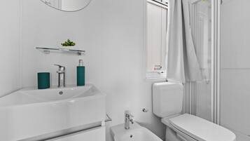 Shower, hair dryer, bidet, towels