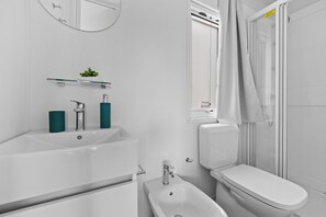 Shower, hair dryer, bidet, towels