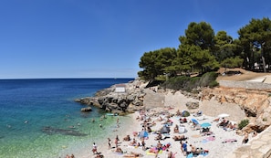 A crowded beach with clear water, rocky terrain, and pine trees.