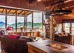 Televisión, chimenea y libros