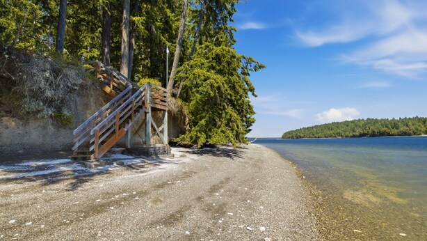 Ein Strand mit einer Holztreppe, die zum Ufer hinunterführt, umgeben von Bäumen und klarem Wasser.