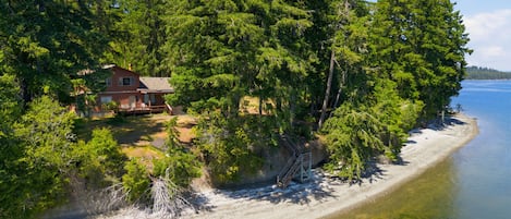 A house surrounded by dense forest and a beach.
