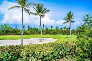 Condo, 1 King Bed (Keauhou Punahele#D-102) | Golf - Keauhou Punahele#d-102 (Kailua-Kona)
