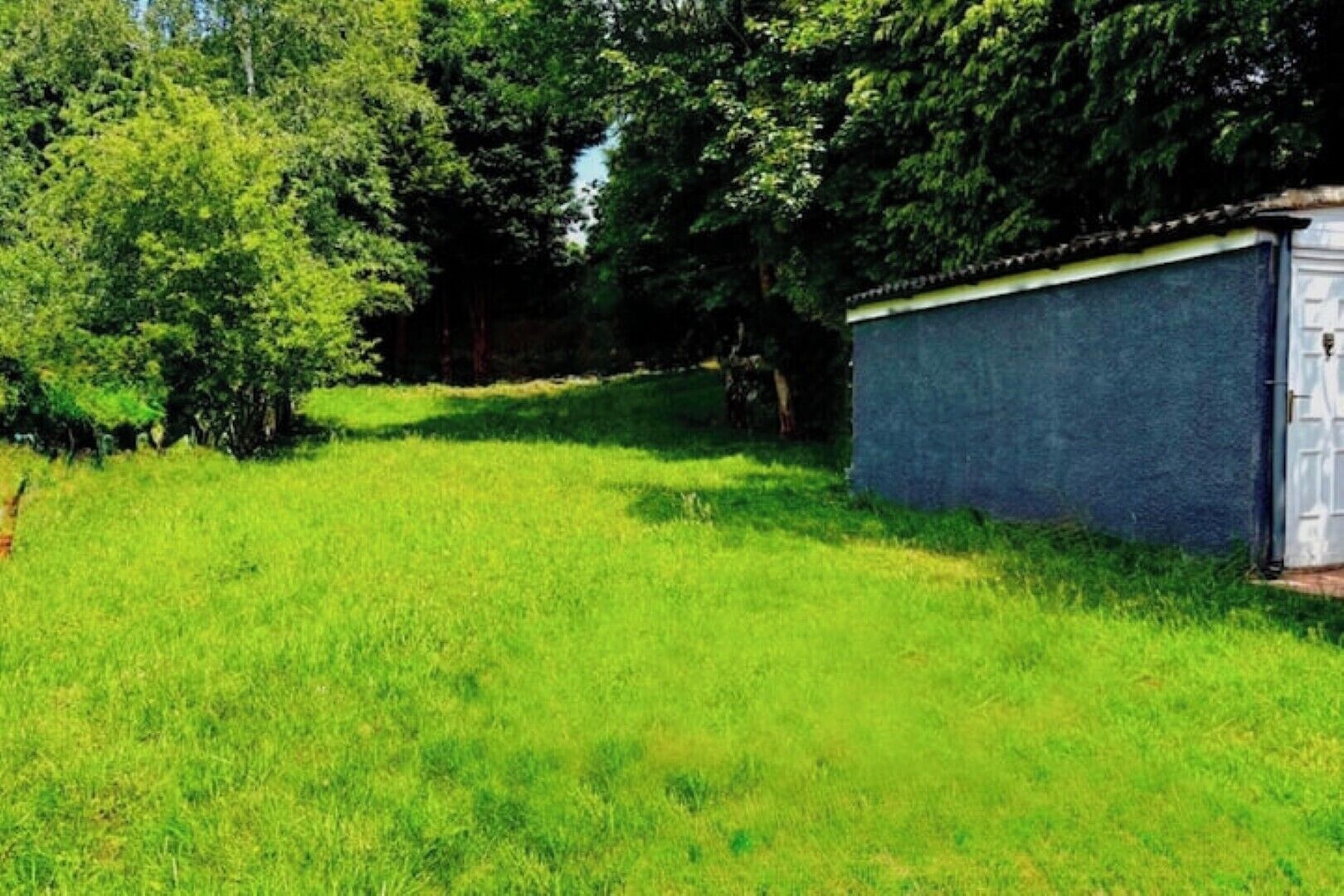 A grassy area with a shed and trees.