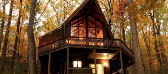 Idyllife- pet and family friendly