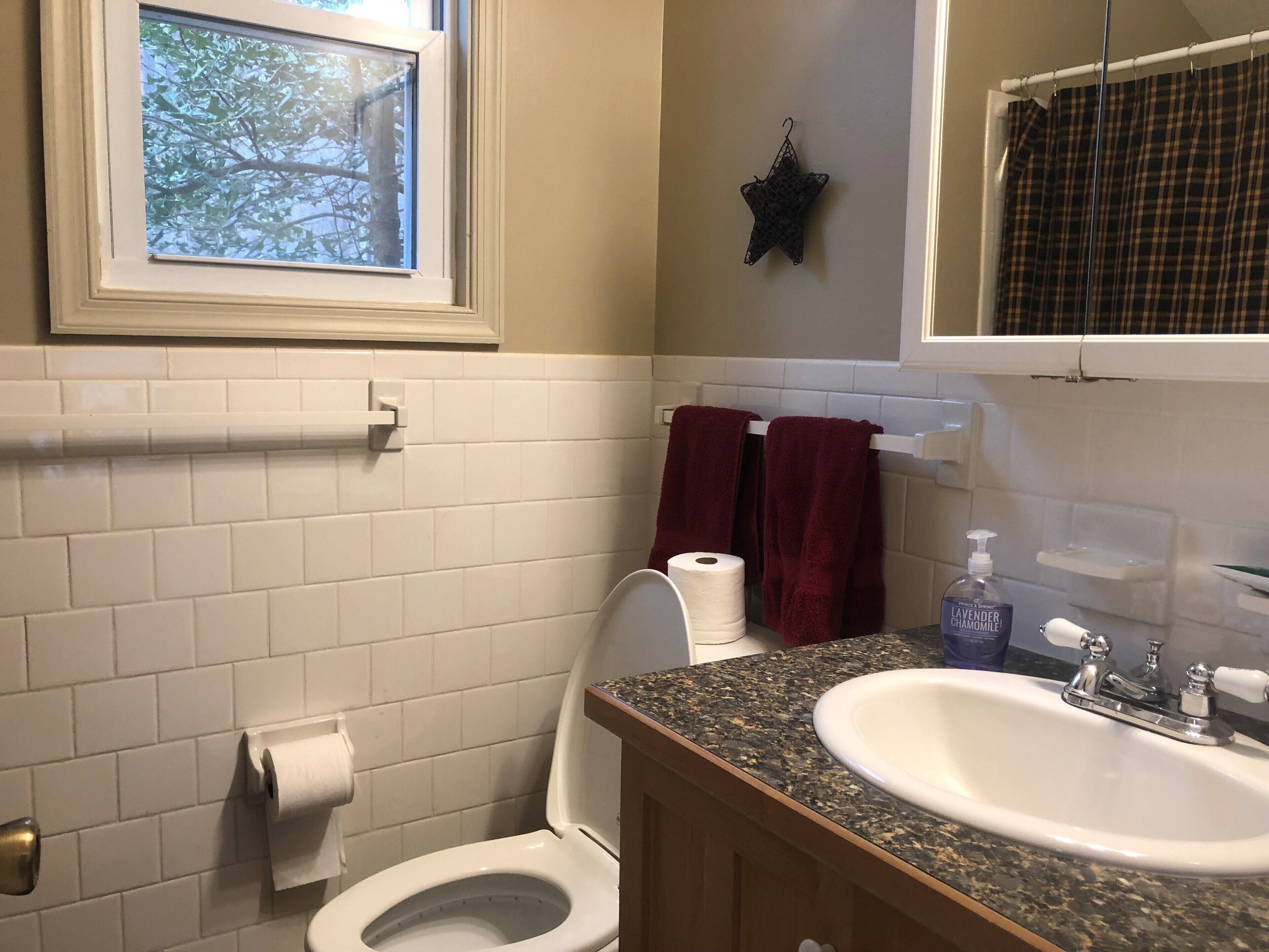 A bathroom with a toilet, sink, and a window with a view of trees.