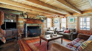 Smart TV, chimenea, reproductor de DVD y libros