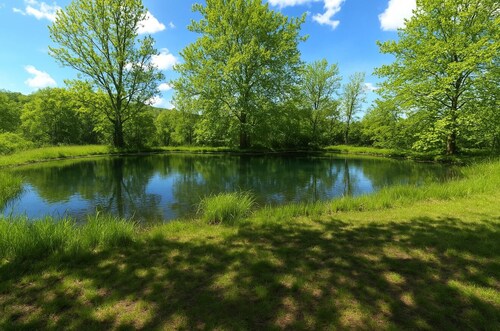Little Cacapon River Cabin