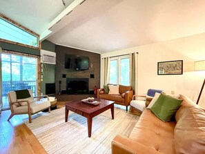 Smart TV, fireplace, books, music library