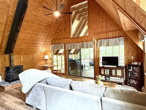 TV, fireplace, video games, DVD player