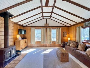 Smart TV, fireplace, DVD player, books