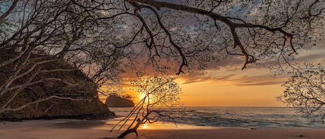 海灘
