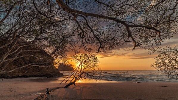 Playa