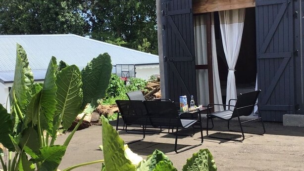 Eine Außenpatio mit Tisch und Stühlen, umgeben von üppigen Pflanzen.
