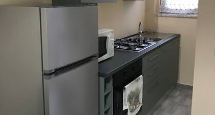 Il Borgo Antico:View on Reggia di Venaria Reale Nice apartment with view