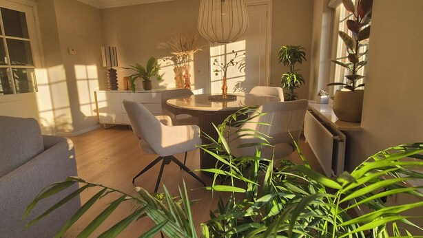 Ein modernes Wohnzimmer mit Esstisch, Stühlen und einer Couch. Mehrere Blumentöpfe und eine Pendelleuchte sind ebenfalls vorhanden.