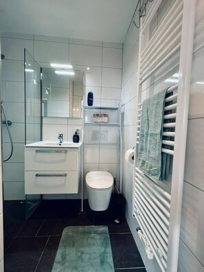 A modern bathroom with a glass shower enclosure, a white sink with a mirror, a toilet, and a towel rack.