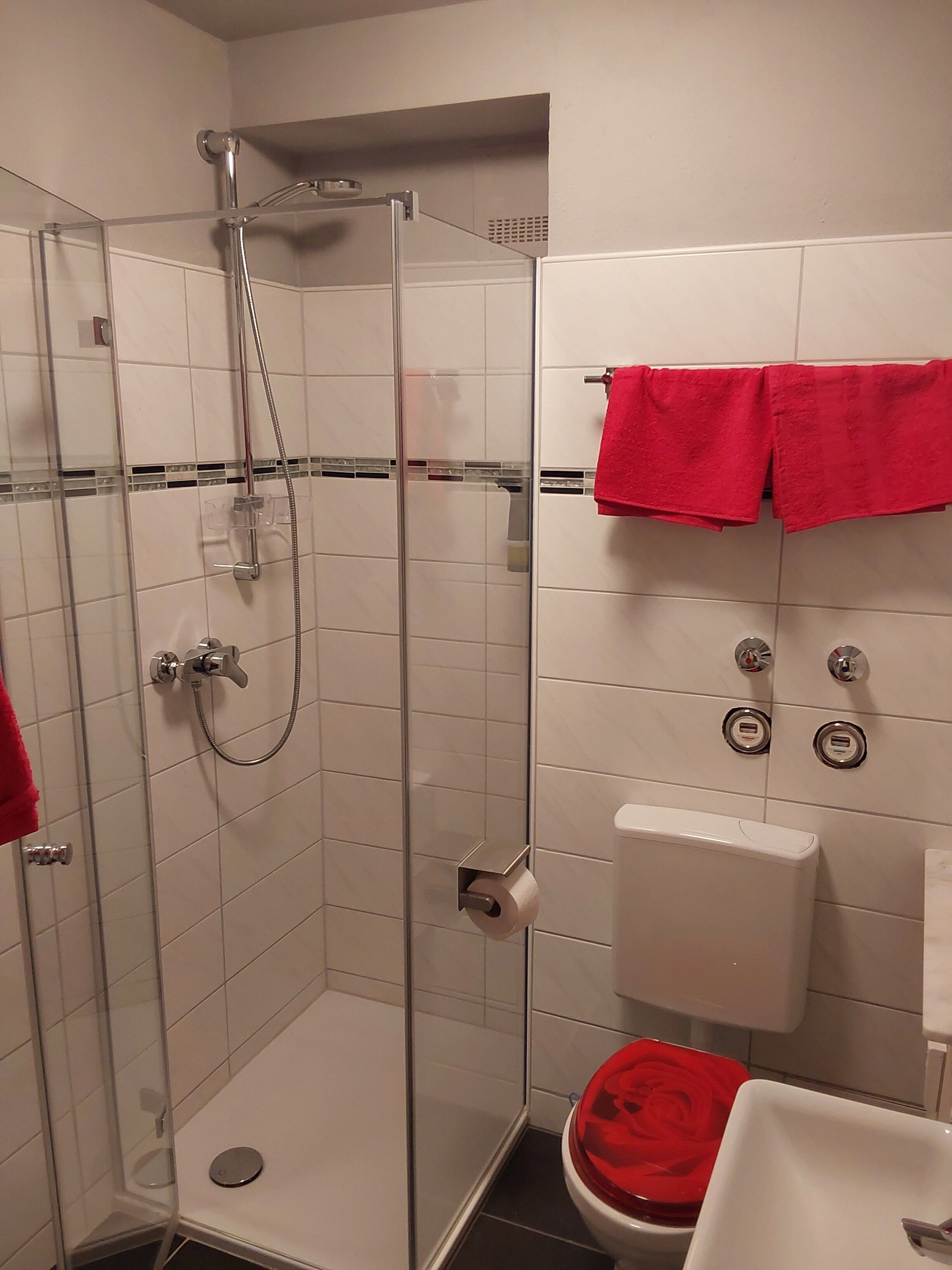 Shower, towels, soap, toilet paper