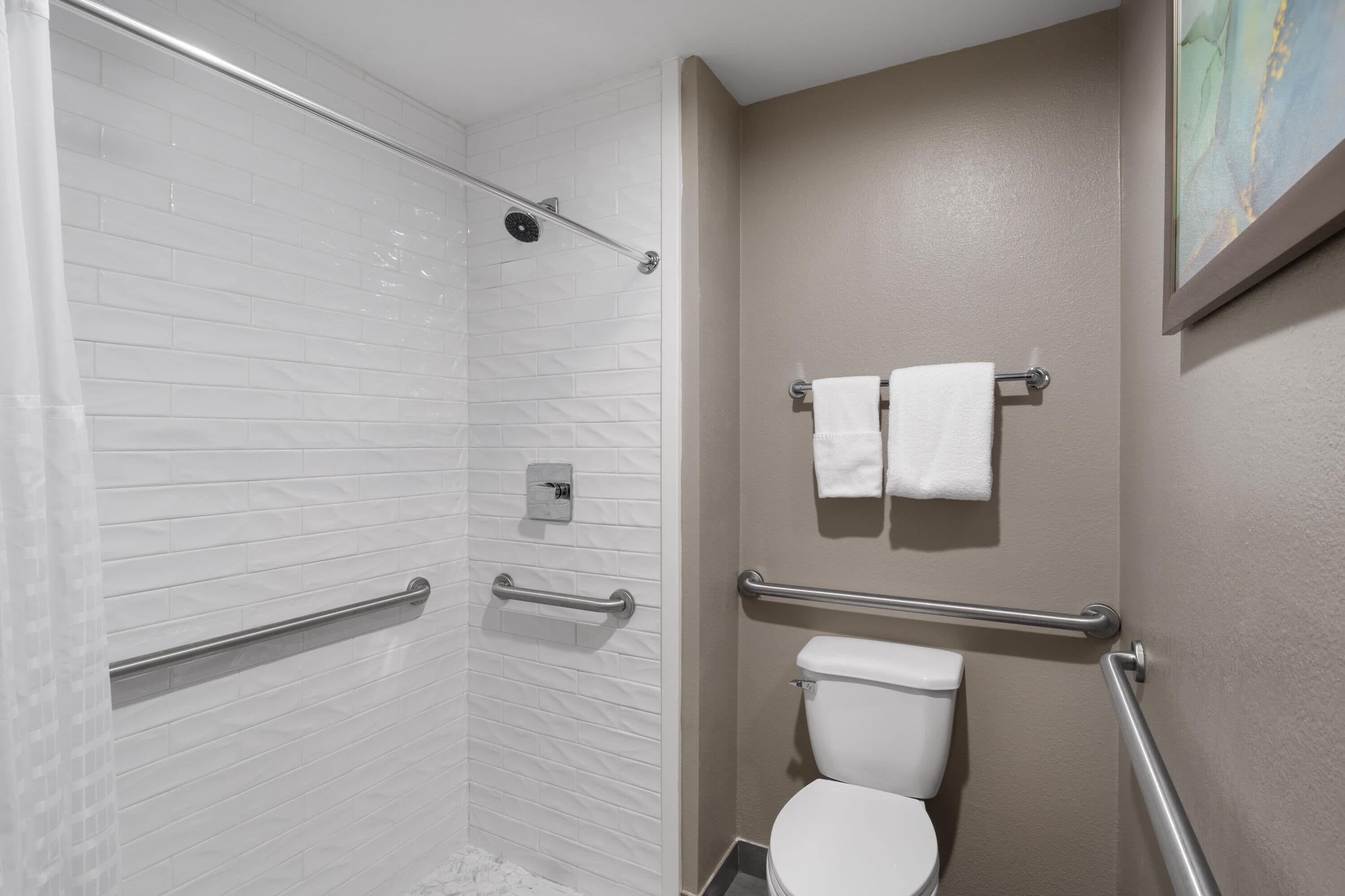 A bathroom with a shower, toilet, and handrails.