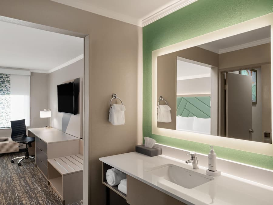 Room, 1 King Bed, Non Smoking | Bathroom