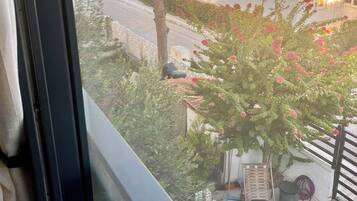 A window view of a residential area with a tree, a small garden, and a building with a red roof.