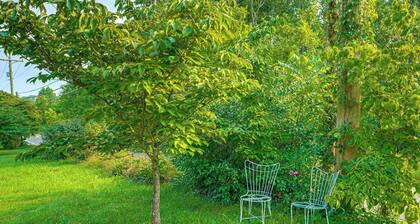 2 Mi to Hiking Trails: Cozy Fayetteville Cottage!