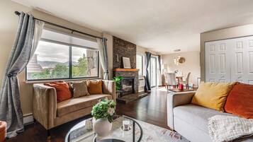 TV, fireplace, books