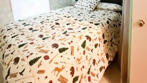 Un dormitorio con cama, cabecera, lámpara en el techo y ventana con cortinas.