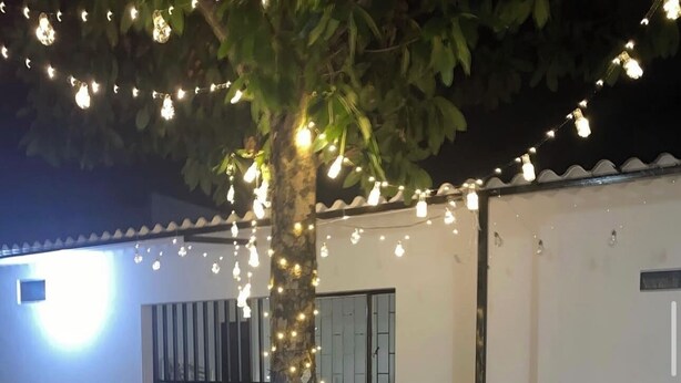 Un espace extérieur aménagé avec des bancs et un arbre décoré de guirlandes lumineuses.