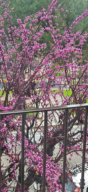 Àrea exterior de l'allotjament