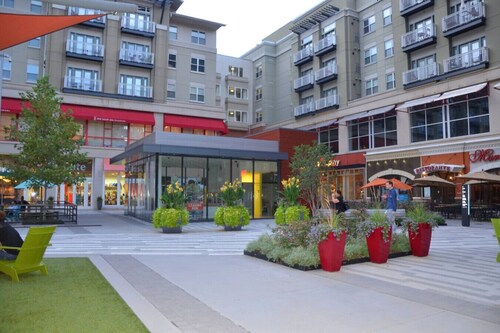 My Mom’s Condo in National Landing