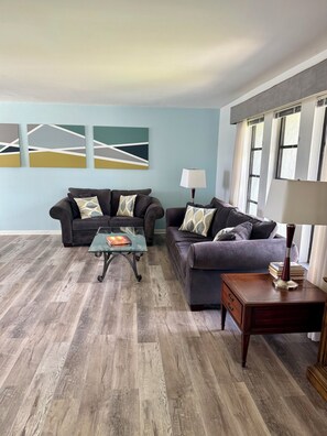 Smart TV, DVD player, books, video library