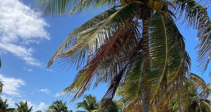 Historic 4 Story Mansion w. Pool in Old San Juan