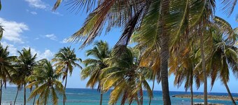 Historic 4 Story Mansion w. Pool in Old San Juan