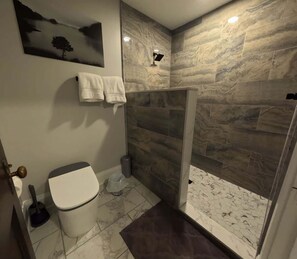 Shower, hair dryer, towels - Crosswalk Suite! (Franklin)