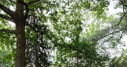 Downtown State College! Carriage House at Woodruff Highlands House