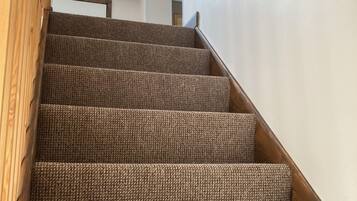 A staircase with carpeted steps and wooden handrails.