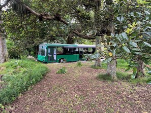 Property grounds - The Bush Bus Nature’s Hideaway Whangarei, Maungatapere (Maungatapere)