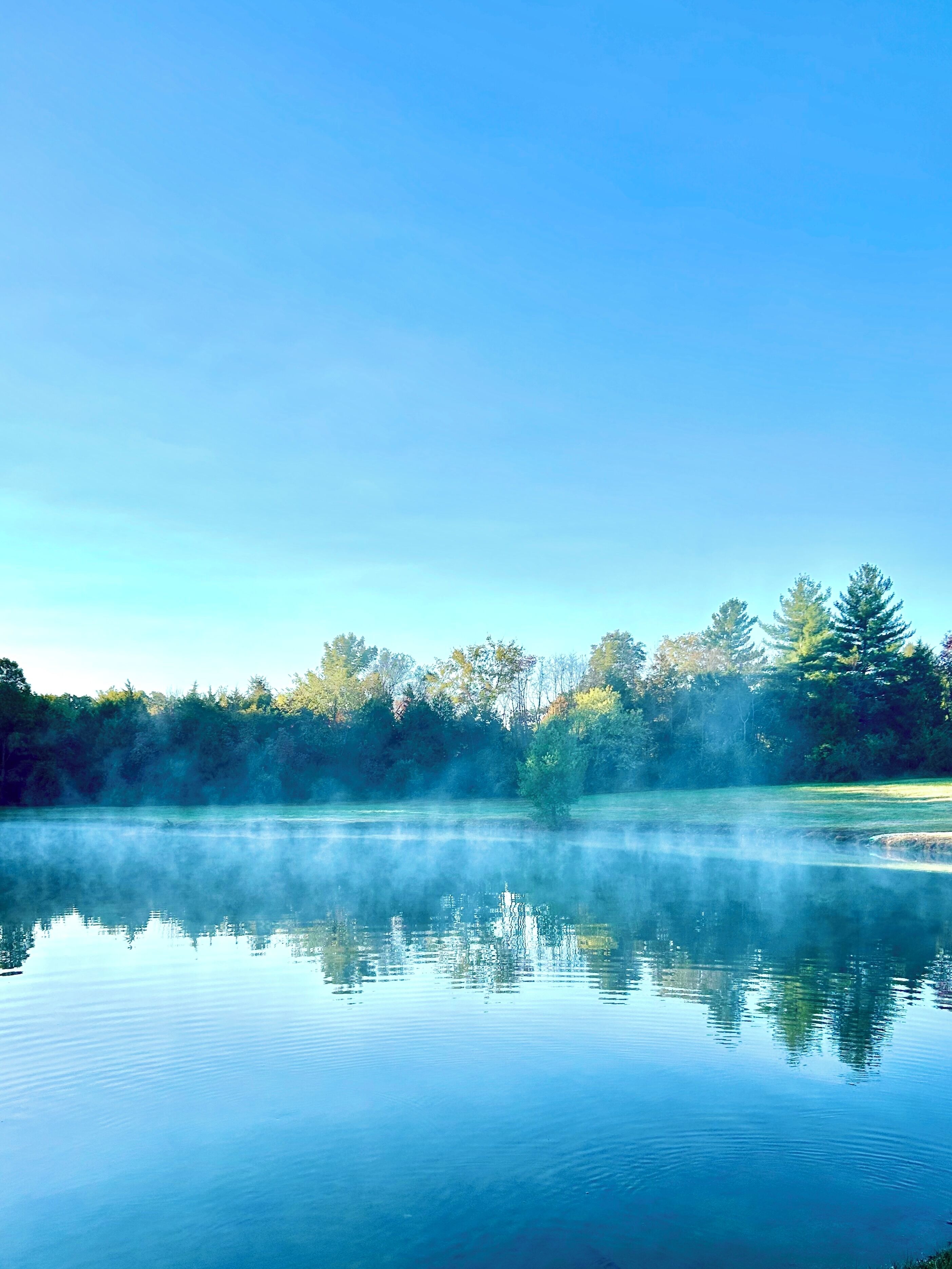 A calm lake with a clear reflection of trees and a misty atmosphere.