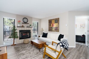 Smart TV, fireplace, books