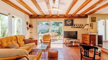 Televisie, een open haard en boeken