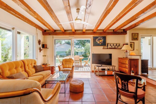 TV, fireplace, books