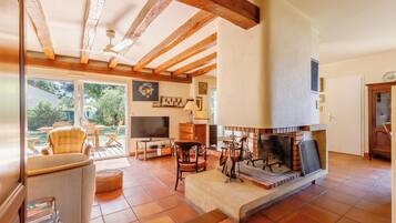 Televisie, een open haard en boeken