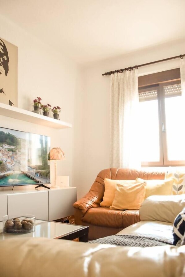 Televisor