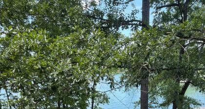 Charming lake cabin on beautiful Lake Martin - 6 bedrooms, sleeps 17