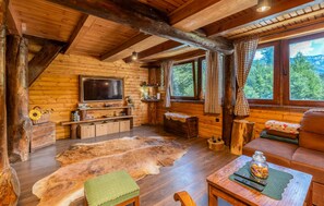 Smart TV, fireplace, table tennis