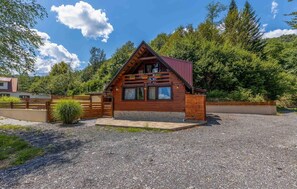 Exterior - Pet friendly home in Plesce (Plesce)